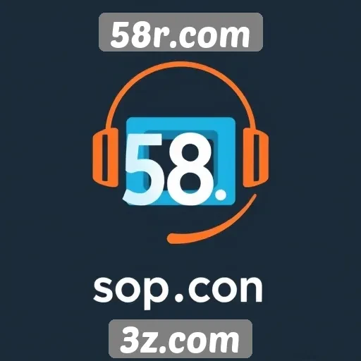 Importância do suporte ao cliente no 58r.com